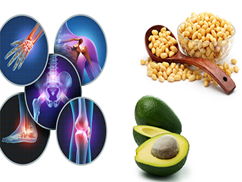 How Can Avocado Soybean Unsaponifiables Powder Enhance Your Health Supplement Formulations?